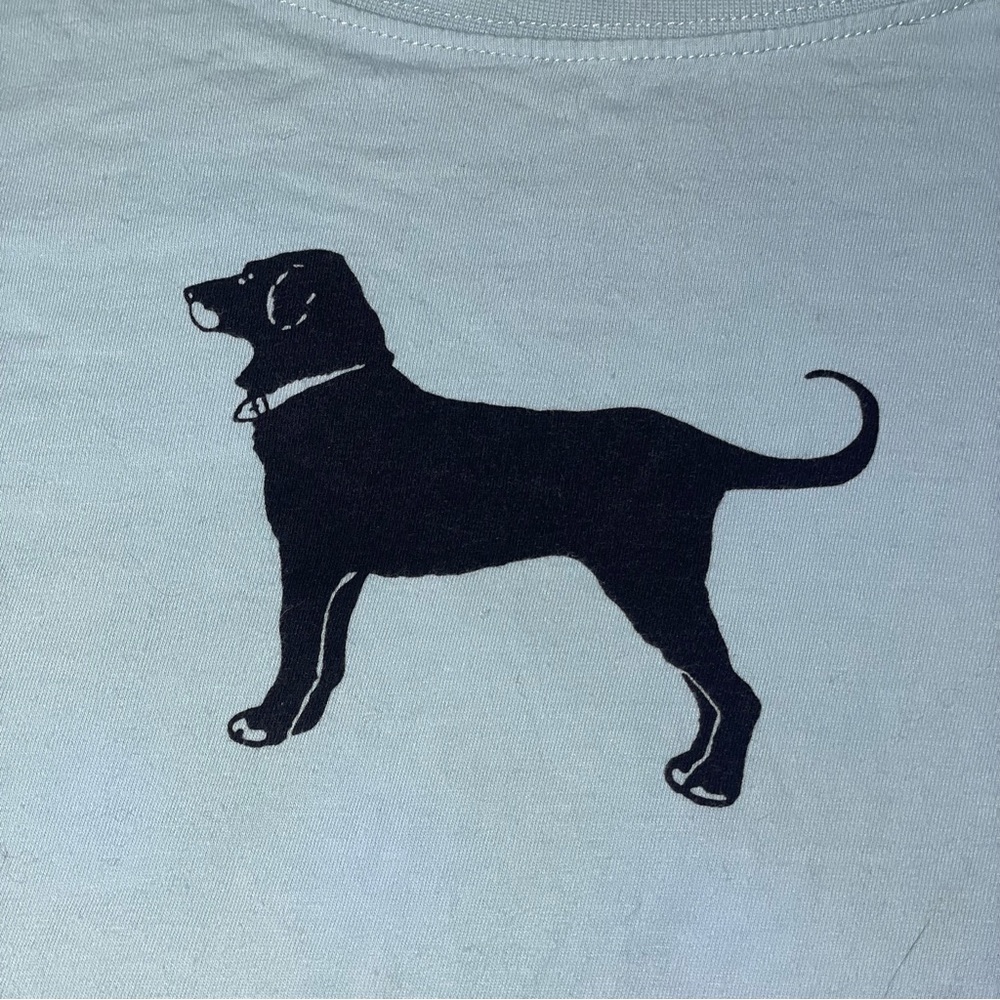 Light Blue The Black Dog Graphic T-Shirt 2018 - Picture 2 of 4
